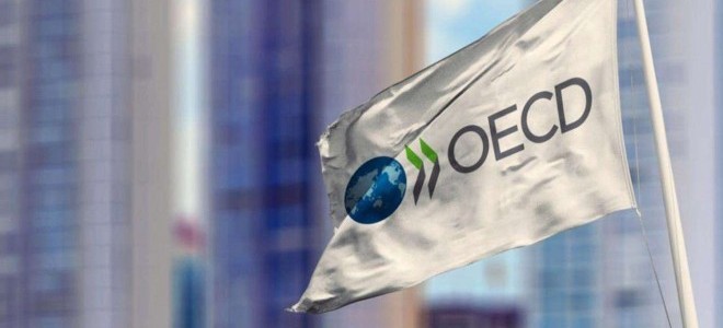 OECD'den Türkiye değerlendirmesi: Yatırımcı ilgisi artıyor, riskler hala masada