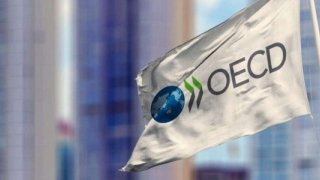 OECD'den Türkiye değerlendirmesi: Yatırımcı ilgisi artıyor, riskler hala masada